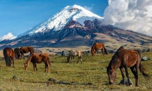 Turismo en Ecuador: los volcanes se consolidan como destinos para vivir experiencias más allá del paisaje
